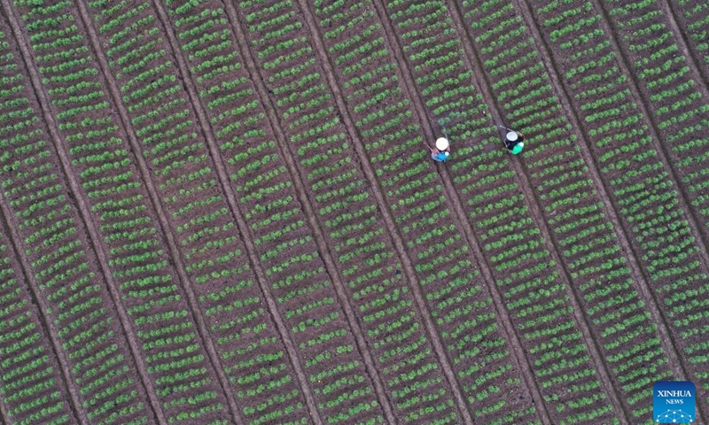 Aerial photo shows villagers working in the fields in Zheng'an County of Zunyi, southwest China's Guizhou Province, April 4, 2022. As the temperature gradually rises around the time of Qingming Festival, farming activities are in full swing across the country, from the north to the south. (Xinhua)