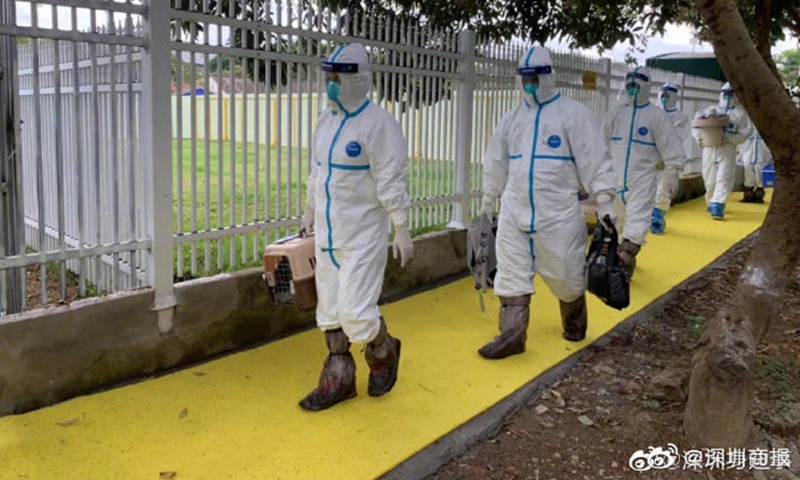 Photo: Weibo account of Shenzhen Economic Daily