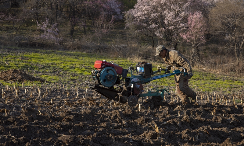 A farmer works in the field during the spring planting season in Shulan city, Jilin Province on April 24, 2021. Photo: VCG