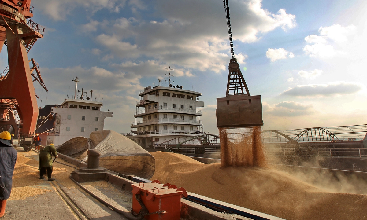 Imported soybeans are loaded at the port of Nantong, East China's Jiangsu Province. Photo: VCG