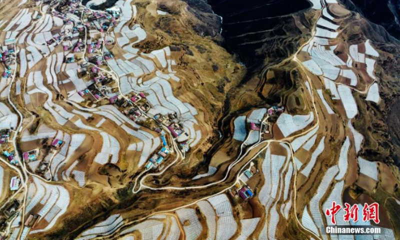 Aerial photo shows a spectacular view of potato field covered with plastic mulch in Haidong, Qinghai Province. Due to its unique advantages, including high altitude and dry climate, Haidong has became an important potato planting base. (Photo: China News Service/Li Xiaolin)