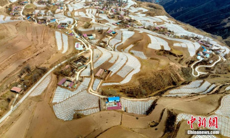 Aerial photo shows a spectacular view of potato field covered with plastic mulch in Haidong, Qinghai Province. Due to its unique advantages, including high altitude and dry climate, Haidong has became an important potato planting base. (Photo: China News Service/Li Xiaolin)