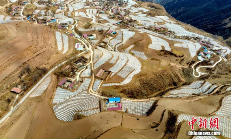 Aerial photo shows a spectacular view of potato field covered with plastic mulch in Haidong, Qinghai Province. Due to its unique advantages, including high altitude and dry climate, Haidong has became an important potato planting base. (Photo: China News Service/Li Xiaolin)