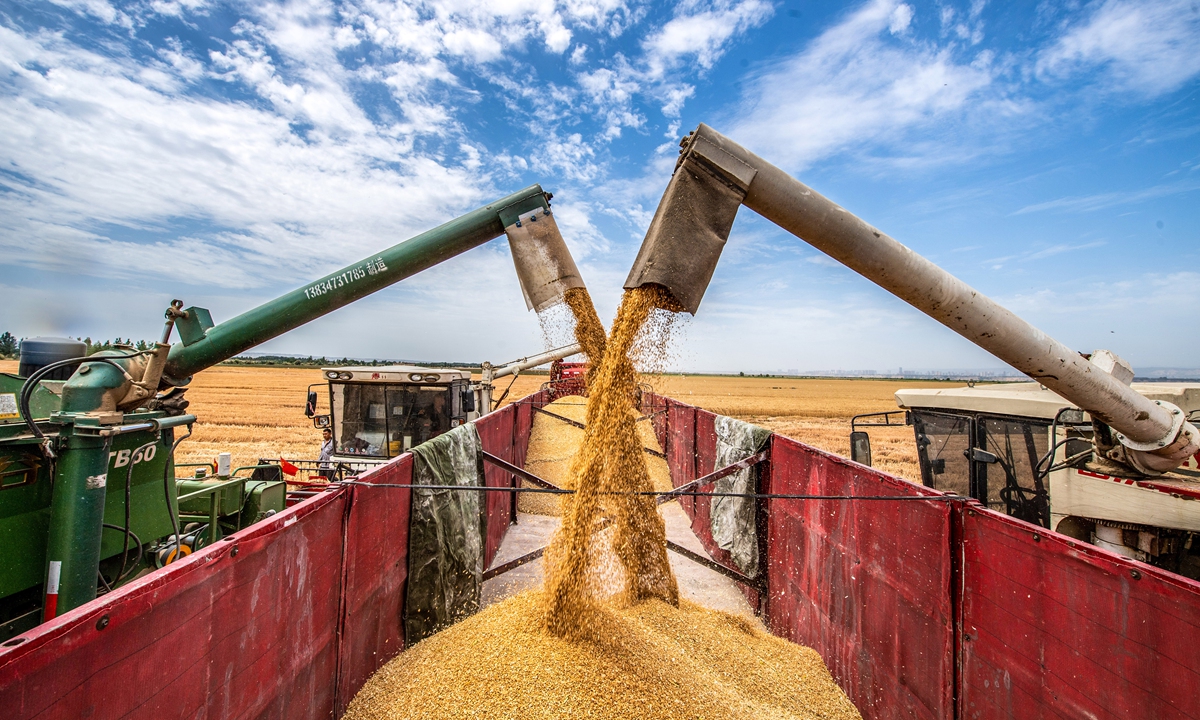 Wheat harvest in Yuncheng, North China’s Shanxi Province in June 2020 Photo: VCG