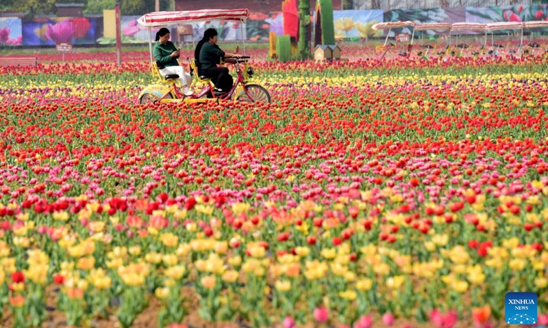 Tourists view tulips at a scenic spot in Suiping County, central China's Henan Procince, April 7, 2022. (Photo: Xinhua)