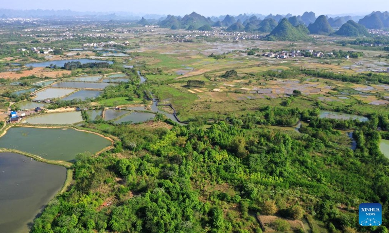 Aerial photo taken on April 7, 2022 shows the scenery of the Huixian Wetlands in Guilin, south China's Guangxi Zhuang Autonomous Region.Photo:Xinhua