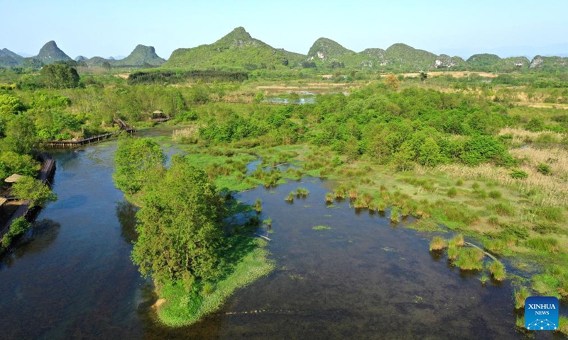 Aerial photo taken on April 7, 2022 shows the scenery of the Huixian Wetlands in Guilin, south China's Guangxi Zhuang Autonomous Region.Photo:Xinhua