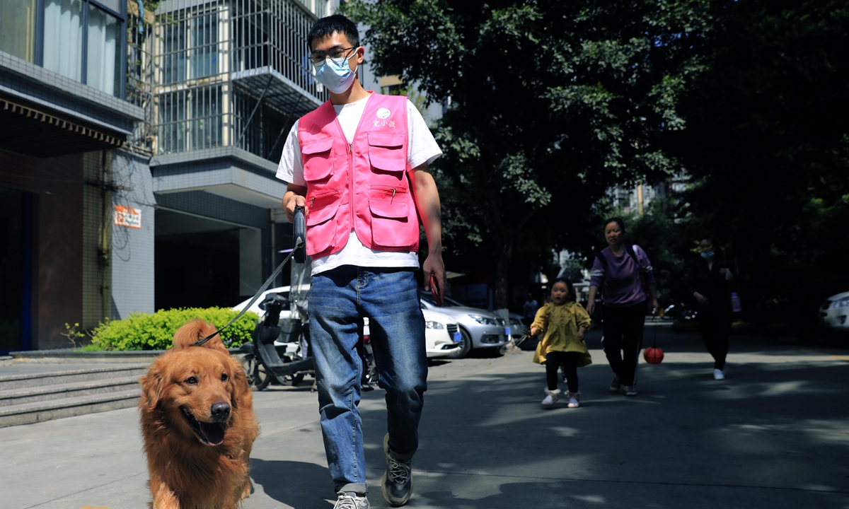 A girl helps store shoes for a client in Wuhan, Central China's Hubei Province, on January 13, 2022.
Below: A dog walker takes his client's pet out for a walk in Chengdu, Southwest China's Sichuan Province, on March 17, 2022. Photos: VCG