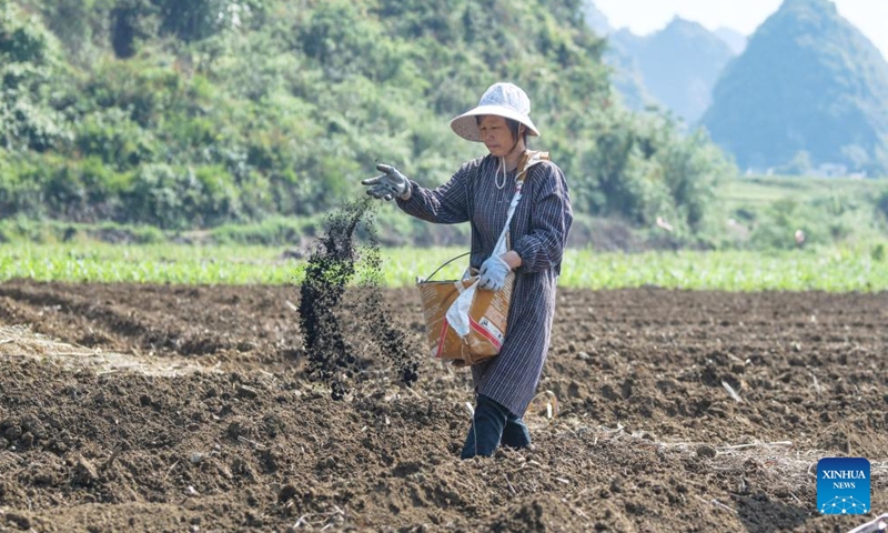 A farmer works in the sugar cane fields in Liangshan Village of Dahua Yao Autonomous County, south China's Guangxi Zhuang Autonomous Region, April 9, 2022.Photo:Xinhua