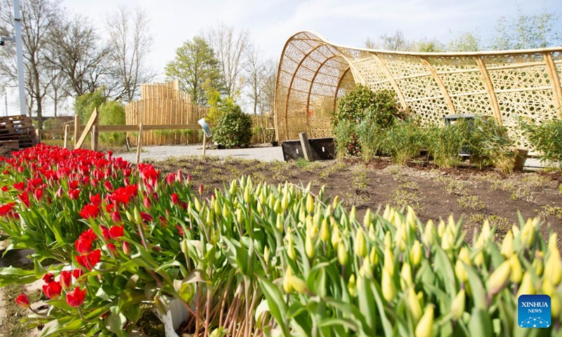 Photo taken on April 11, 2022 during a press preview shows China's Pavilion at Floriade Expo 2022 in Almere, the Netherlands. Floriade Expo 2022, a world horticultural exhibition, is set to be held in Almere from April 14 to Oct. 9.(Photo: Xinhua)