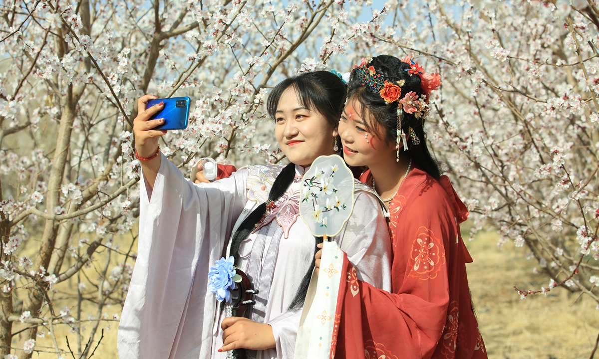 Tourists dressed in traditional Chinese costumes pose for photos in a 40-hectare field of apricot blossoms in Jiayuguan, Northwest China's Gansu Province, in the high time of spring. Photo: IC