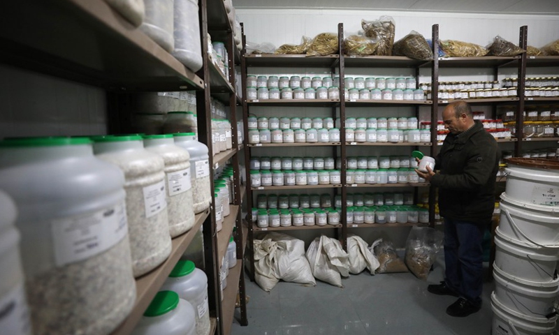 An agricultural engineer worked at the West Bank-based Seed Bank in the city of Jenin on March 30, 2022.(Photo: Xinhua)