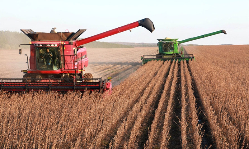 Soybeans are harvested in Heilongjiang province. File photo: Xinhua