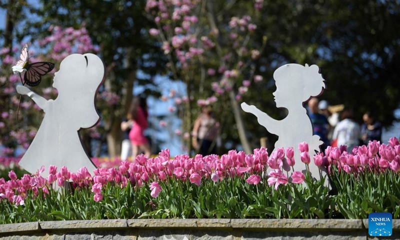 Photo taken on April 15, 2022 shows tulips at a park in Istanbul, Turkey.Photo:Xinhua