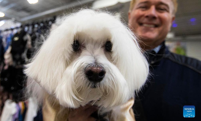 A man shows a groomed pet dog during the 2022 Spring Canadian Pet Expo in Mississauga, the Greater Toronto Area, Canada, on April 15, 2022.Photo:Xinhua