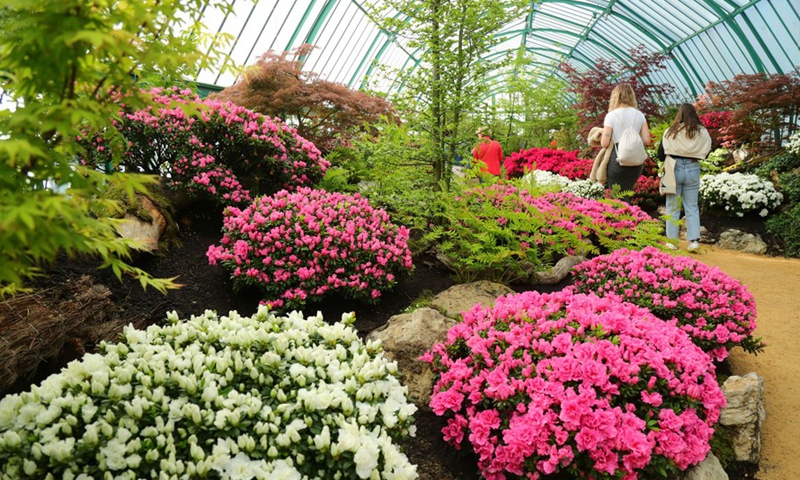 People visit the Royal Greenhouses in Royal Domain in Laeken of Brussels, Belgium, April 16, 2022.Photo:Xinhua