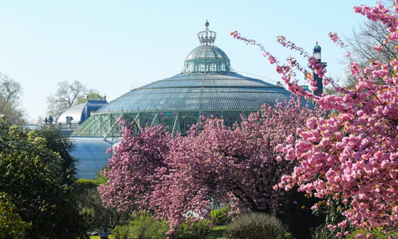 Photo taken on April 16, 2022 shows a view of the Royal Greenhouses in Royal Domain in Laeken of Brussels, Belgium.Photo:Xinhua
