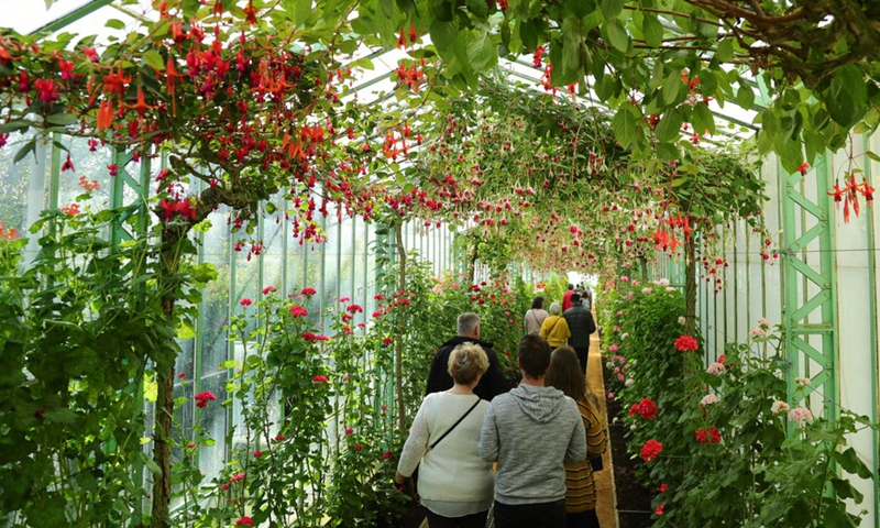 People visit the Royal Greenhouses in Royal Domain in Laeken of Brussels, Belgium, April 16, 2022.Photo:Xinhua