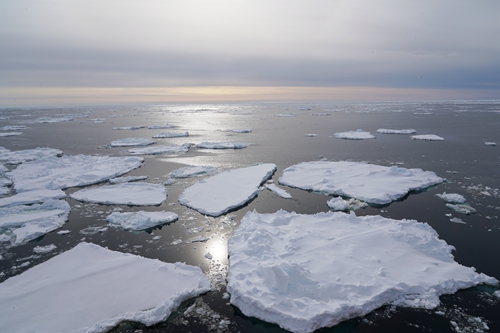 The melted ice in Cosmonauts Sea is taken aboard China's polar icebreaker Xuelong 2 in January. Photo: Courtesy of Liang Yingqi from Chinese Academy of Sciences 
