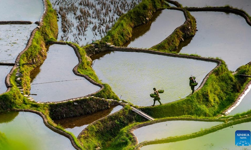 Farmers work in rice paddies in Jiaye Village, Jiabang Township, Congjiang County in Qiandongnan Miao and Dong Autonomous Prefecture, southwest China's Guizhou Province, April 19, 2022. April 20 marks Guyu, which literally means grain rain, referring the sixth of the 24 solar terms created by ancient Chinese to carry out agricultural activities.(Photo: Xinhua)