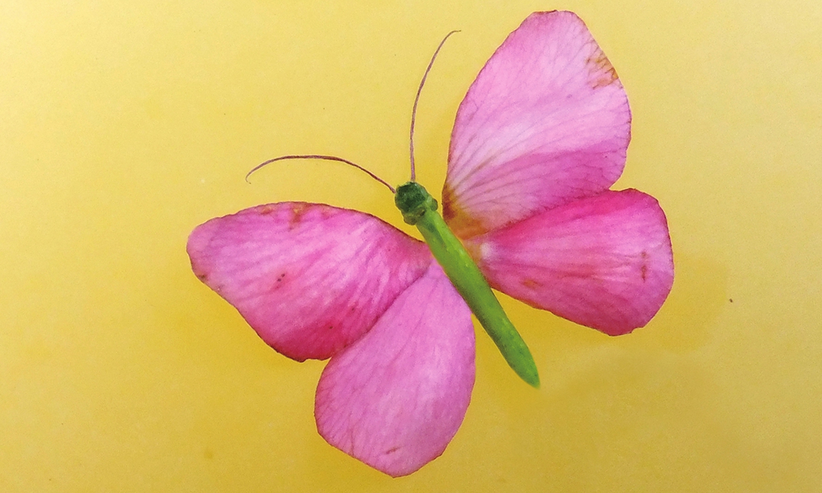 Photographer uses different shapes and colors of roses and crabapple flowers to make a pattern of a beautiful butterfly in Kaifeng, Central China's Henan Province on April 12, 2022. Photo: IC