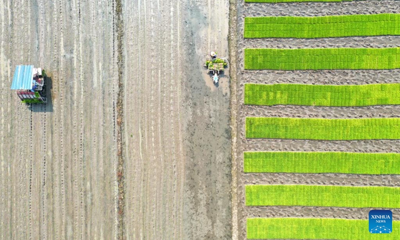 Aerial photo taken on April 19, 2022 shows farmers working in the fields in Leqing City, east China's Zhejiang Province. April 20 marks Guyu, which literally means grain rain, referring the sixth of the 24 solar terms created by ancient Chinese to carry out agricultural activities.(Photo: Xinhua)