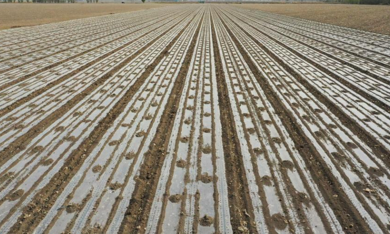 Aerial photo taken on April 19, 2022 shows a seeding machine guided by the BeiDou Navigation Satellite System working in a cotton field in a farm of a division of Xinjiang Production and Construction Corps in northwest China's Xinjiang Uygur Autonomous Region.