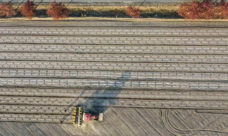 Aerial photo taken on April 19, 2022 shows a seeding machine guided by the BeiDou Navigation Satellite System working in a cotton field in a farm of a division of Xinjiang Production and Construction Corps in northwest China's Xinjiang Uygur Autonomous Region.