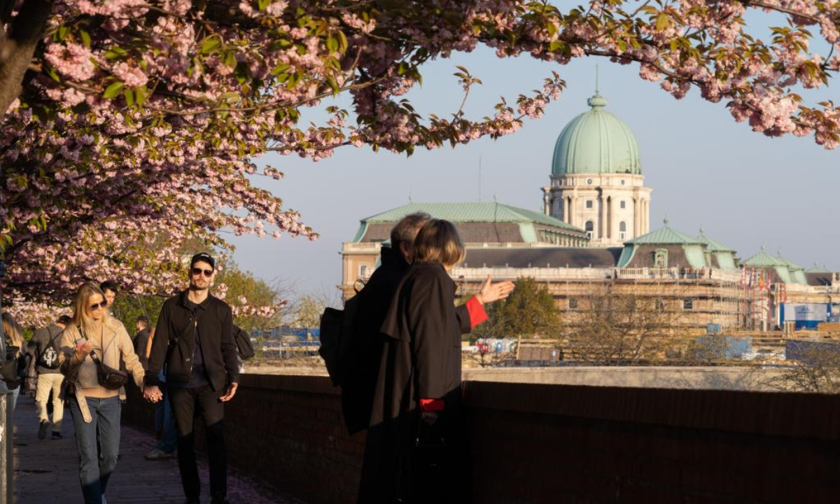 People are seen under cherry blossoms on the Castle Hill in Budapest, Hungary, on April 21, 2022. Photo:Xinhua