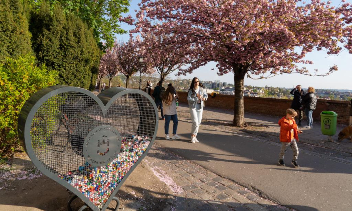 People are seen under cherry blossoms on the Castle Hill in Budapest, Hungary, on April 21, 2022. Photo:Xinhua