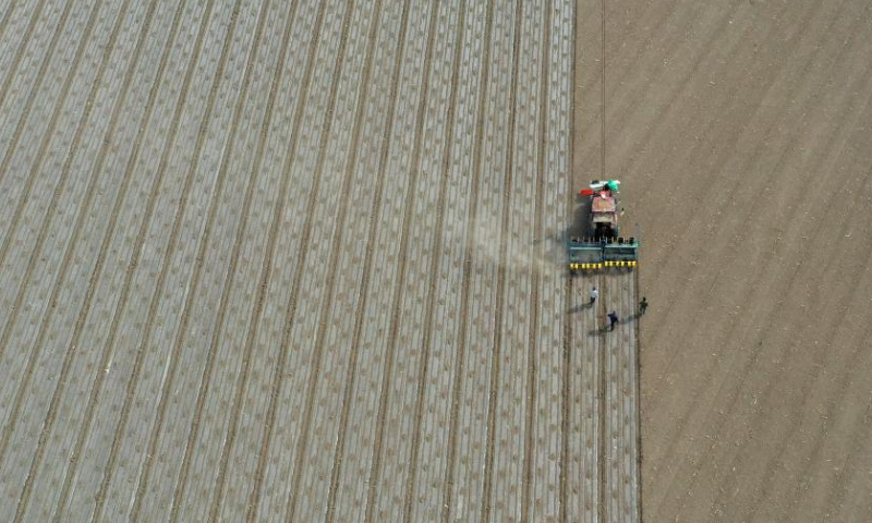 Aerial photo taken on April 19, 2022 shows a seeding machine guided by the BeiDou Navigation Satellite System working in a cotton field in a farm of a division of Xinjiang Production and Construction Corps in northwest China's Xinjiang Uygur Autonomous Region.