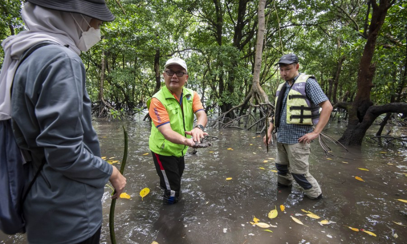 Richard Chan (C), a local NGO volunteer, talks with Brian Yap (R), lecturer at Tun Hussein Onn University (UTHM) and his student, near the mangrove trees in Pulau Merambong in the state of Johor, Malaysia, April 20, 2022. (Photo: Xinhua)