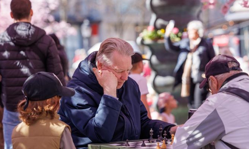 People spend their time under cherry blossoms in Stockholm, Sweden, on April 22, 2022.Photo:Xinhua