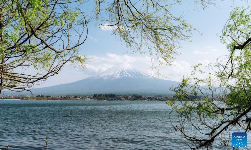 Photo taken on April 23, 2022 shows the scenery of Kawaguchi Lake in Yamanashi, Japan.Photo:Xinhua