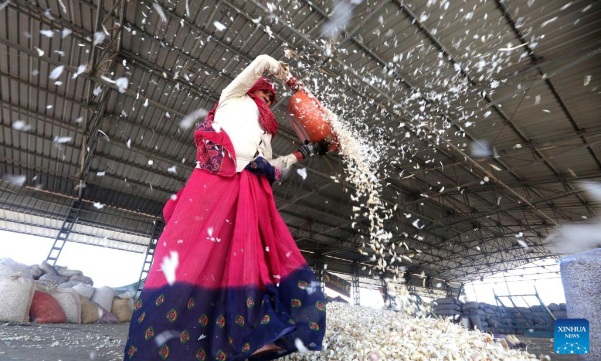 Workers sort garlic at a wholesale market in Bhopal, the capital city of India's Madhya Pradesh state, April 28, 2022. Photo:Xinhua