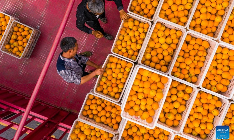 Aerial photo taken on April 26, 2022 shows villagers loading oranges onto a truck in Zigui County, central China's Hubei Province.(Photo: Xinhua)