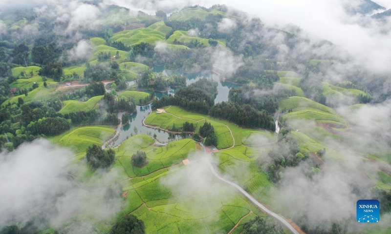 Aerial photo taken on April 26, 2022 shows the view of a tea garden in Enshi Tujia and Miao Autonomous Prefecture, central China's Hubei Province.(Photo: Xinhua)