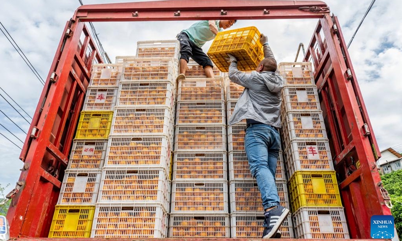 Villagers load oranges onto a truck in Zigui County, central China's Hubei Province, April 26, 2022.(Photo: Xinhua)