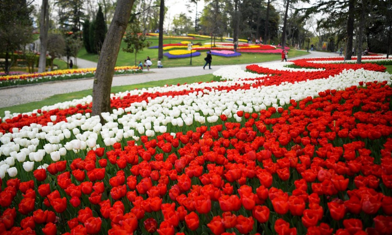 Blooming tulips arranged in colorful designs are seen at a park during the Tulip Festival in Istanbul, Turkey, on April 25, 2022.(Photo: Xinhua)