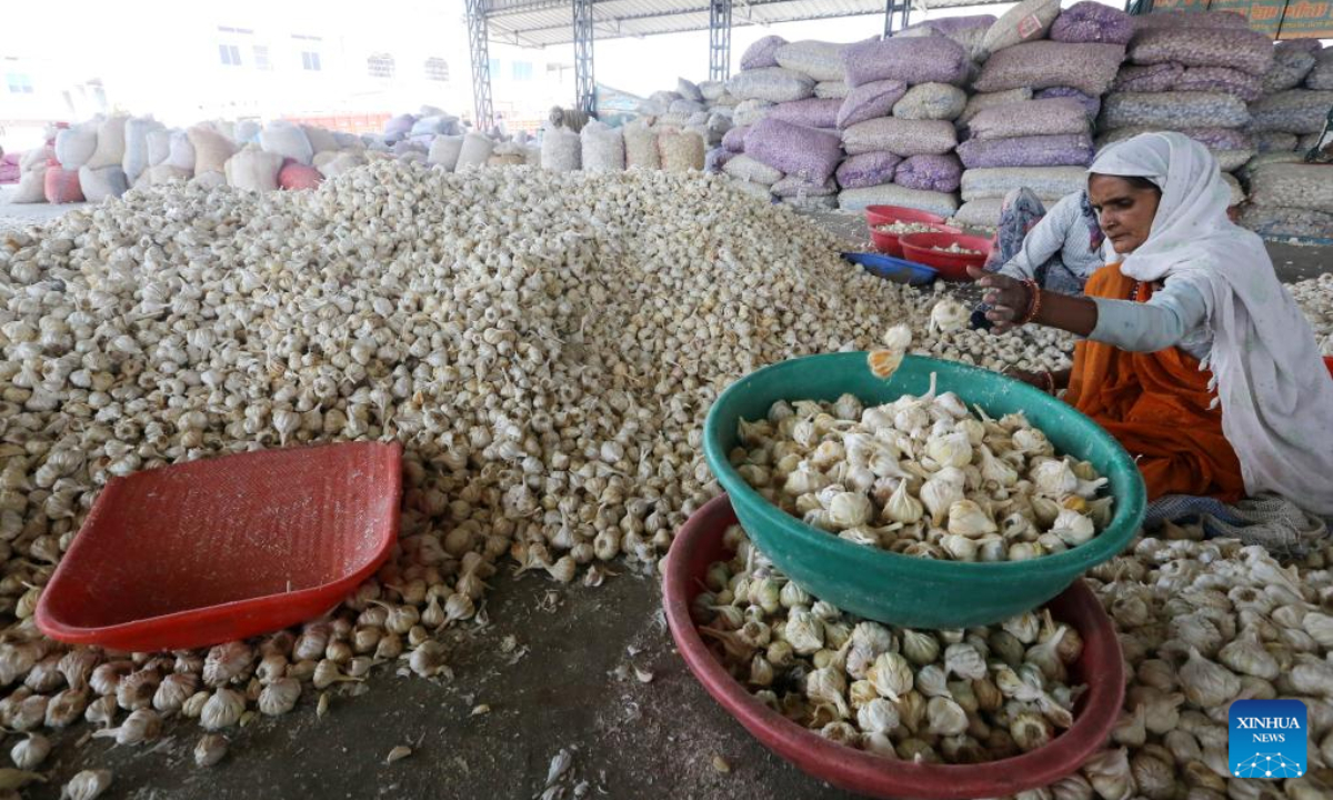 Workers sort garlic at a wholesale market in Bhopal, the capital city of India's Madhya Pradesh state, April 28, 2022. Photo:Xinhua