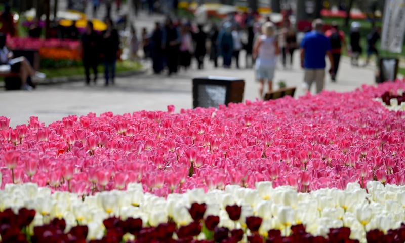People visit a park during the Tulip Festival in Istanbul, Turkey, on April 25, 2022.(Photo: Xinhua)