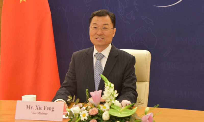 China's Vice Foreign Minister Xie Feng Photo: website of China's Foreign Ministry 