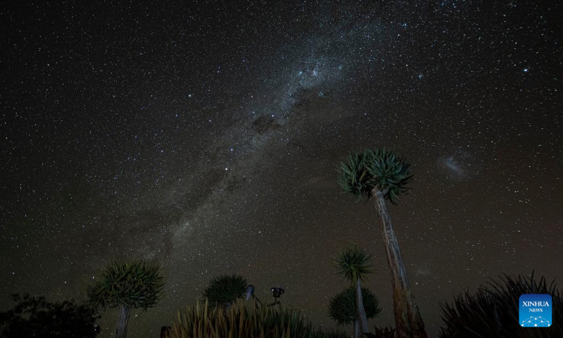 Photo taken on April 29, 2022 shows quiver trees under the stars in Keetmanshoop, southern Namibia. The quiver tree is an aloe vera plant that can adapt to the dry and hot climate of Namibia. The average height of an adult quiver tree is about 5 meters. It is said that in the past, local tribes used the branches of the quiver tree to make bags for holding arrows, hence the name of the quiver tree. (Xinhua/Chen Cheng)