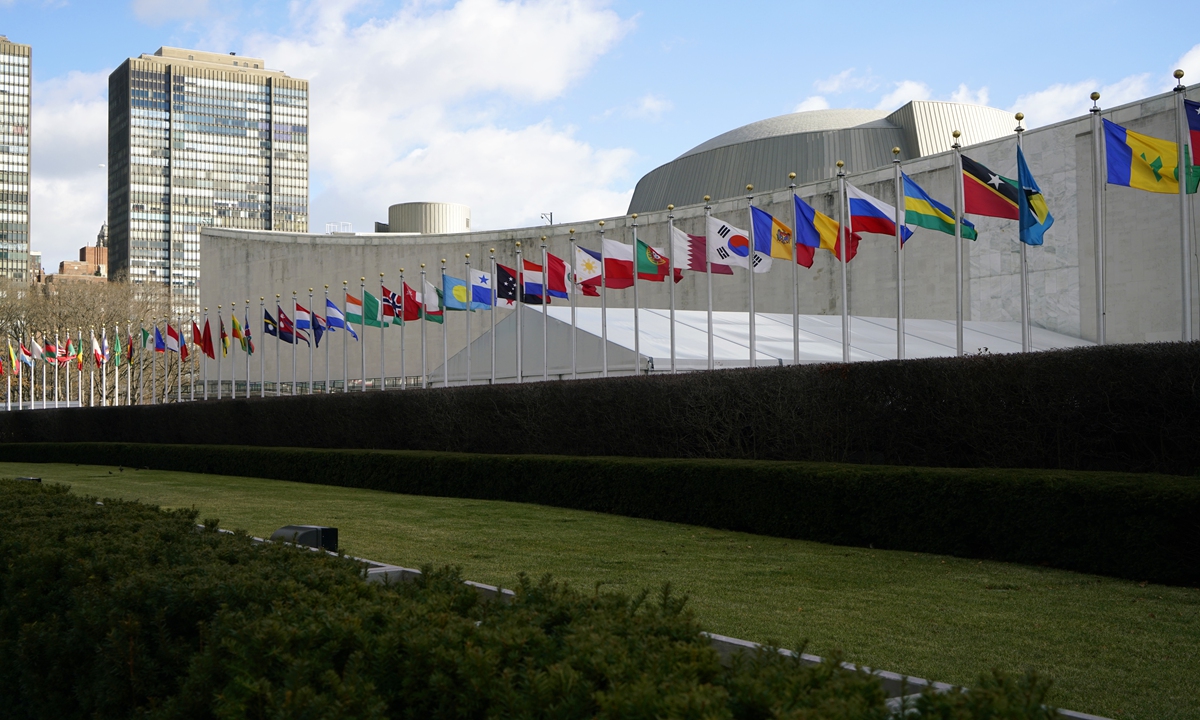 National flags of UN members are seen beside the building of the UN General Assembly. Photo: VCG  