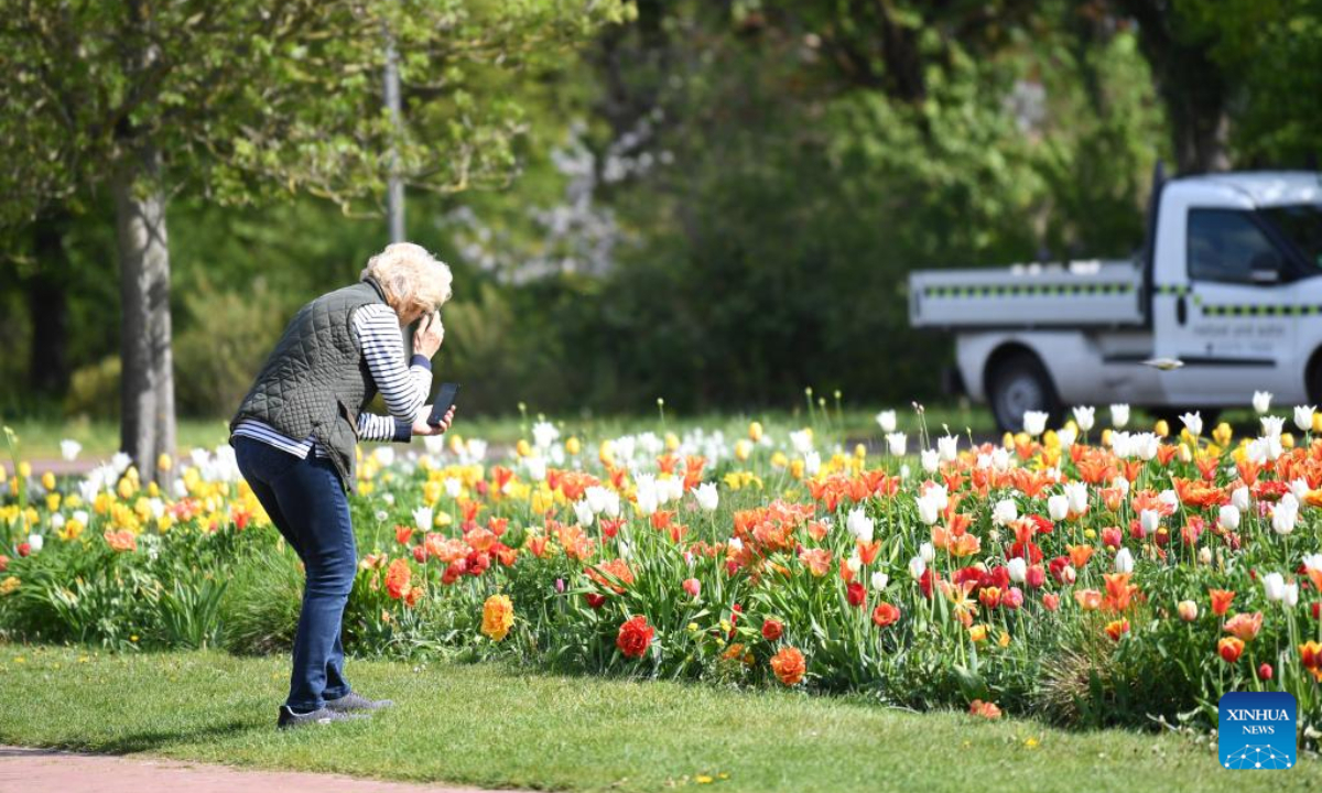 A woman takes photos at Britzer Garten in Berlin, capital of Germany, May 6, 2022. Photo:Xinhua