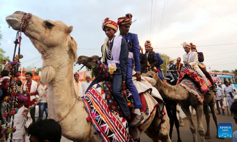 Bridegrooms on camels take part in a mass wedding in Bhopal, capital of India's Madhya Pradesh state, May 3, 2022.Photo:Xinhua