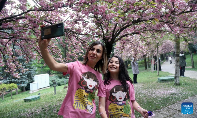 A woman takes selfies under cherry blossoms in Ankara, Turkey, on May 4, 2022. Photo:Xinhua