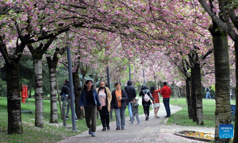 People walk under cherry blossoms in Ankara, Turkey, on May 4, 2022.Photo:Xinhua