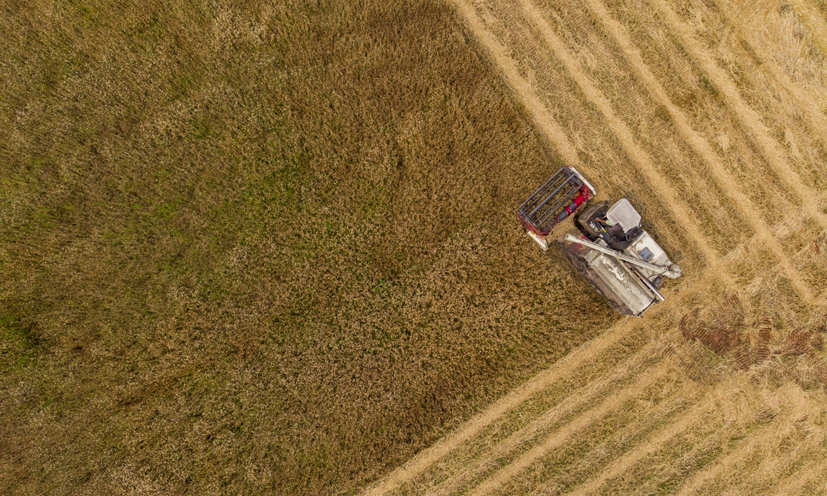 A farmer operates an agricultural machine to harvest wheat in Neijiang, Southwest China's Sichuan Province on May 8, 2022. A better-than-expected summer grain harvest is expected despite floods that hit wheat fields last fall, officials with the Ministry of Agriculture and Rural Affairs said recently. Photo: cnsphoto