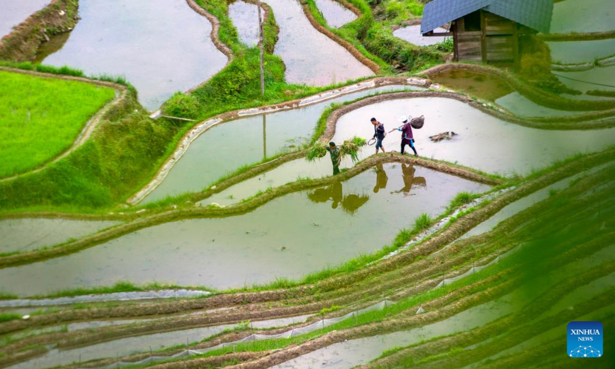 Villagers walk in the fields in Jiaye Village of Congjiang County in Qiandongnan Miao and Dong Autonomous Prefecture, southwest China's Guizhou Province, May 13, 2022. Photo:Xinhua